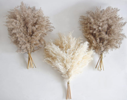 Boho Room Decor Bundle: 30 PCS of Fluffy Natural Dry Pampas Grass - Perfect for Coffee Table Decor and Bohemian Home Accents (17 inches)